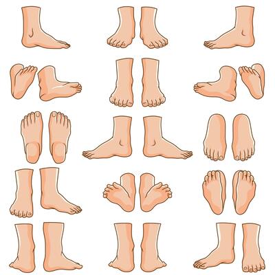 Bundle vector illustrations of various types of leg poses