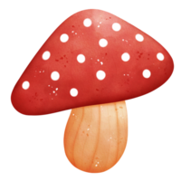 aquarelle champignon vénéneux illustration png