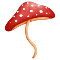 acuarela venenoso seta png