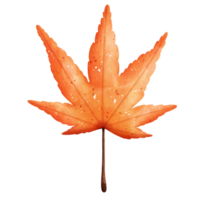 Watercolor Autumn Leaf png