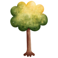 Aquarell Herbstbaum png