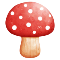 aquarelle toxique champignon png