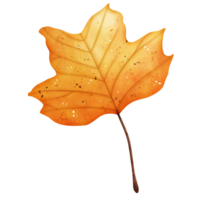 Watercolor Autumn Leaf png