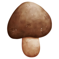 aquarelle champignon élément png