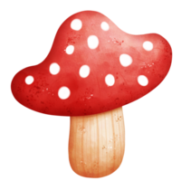 Watercolor Poisonous Mushroom png