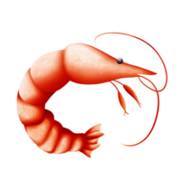 Shrimp icon in flat style png
