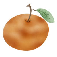 suculento laranja fruta png