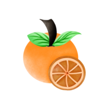 suculento laranja fruta png