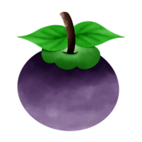 ícone de fruta mangostão png