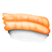 Sushi asian food with fish, rice, caviar png