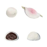 Watercolor hand drawn traditional Japanese sweets. Winter wagashi, mochi, hanabira, camellia. Isolated on white background. Design for invitations, restaurant menu, greeting cards, print, textile vector