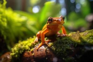 ranas en naturaleza, nacional geografía, amplio vida animales ai generado. foto