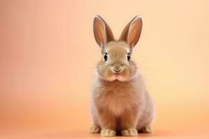 Very cute Rabbit in nature, national geography, Wide life animals. AI Generated. photo