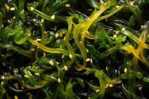 Close-up top view of ingredients Seaweed Salad Veggie, Japanese food. . photo