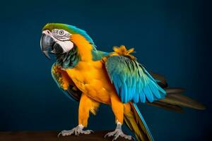 muy linda guacamayo en naturaleza, nacional geografía, amplio vida animales ai generado. foto