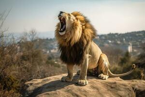 león en naturaleza, nacional geografía, amplio vida animales ai generado. foto