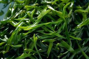 Close-up top view of ingredients Seaweed Salad Veggie, Japanese food. . photo