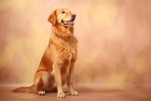 Cute Golden Retriever in nature, national geography, Wide life animals. AI Generated. photo