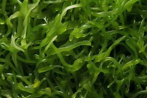 de cerca parte superior ver de ingredientes algas marinas ensalada vegetariano, japonés alimento. ai generado. foto