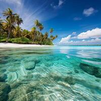 Serene Paradise Aesthetic Tropical Beach with Clean Blue Water Palm Trees and Relaxing View photo