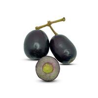 Java jambolan plum isolated on white background with shades photo