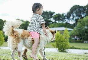 A child with a dog in nature. girl playing with a dog on green grass at sunset time. photo