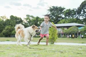 A child with a dog in nature. girl playing with a dog on green grass at sunset time. photo