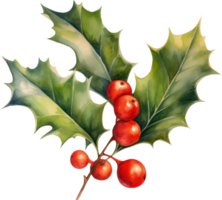 Christmas Holly berry watercolor illustration. AI Generated png