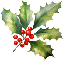 Christmas Holly berry watercolor illustration. AI Generated png