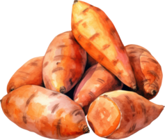 Sweet potato watercolor illustration. AI Generated png