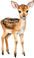 Baby deer watercolor illustration. AI Generated png