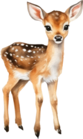 Baby Hirsch Aquarell Illustration. ai generiert png