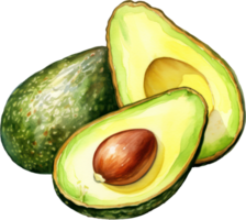 Avocado watercolor illustration. AI Generated png