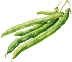 Green beans watercolor illustration. AI Generated png