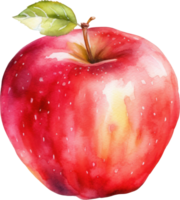 Red Apple Watercolor Illustration. png