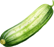 Cucumber watercolor illustration. AI Generated png