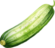 Pepino acuarela ilustración. ai generado png