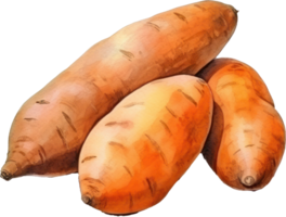 Sweet potato watercolor illustration. AI Generated png