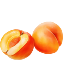 Apricot watercolor illustration. AI Generated png