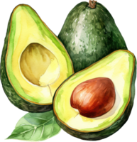Avocado watercolor illustration. AI Generated png