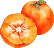 Persimmon fruit watercolor illustration. AI Generated png