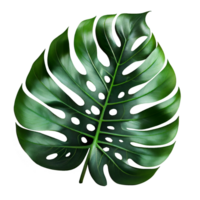 monstera växt blad, 3d illustration. transparent png. generativ ai png