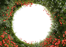 flower red and grass plants in vertical garden form on a transparent background. png