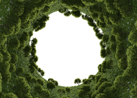 tree in vertical form on a transparent background. png