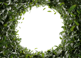 Tropical plants in vertical garden form on a transparent background. png