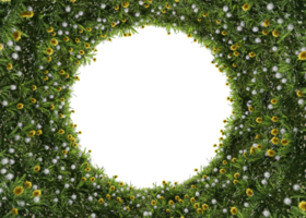 flower yellow and grass plants in vertical garden form on a transparent background. png