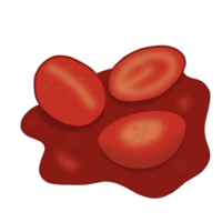 grillé rouge tomates png