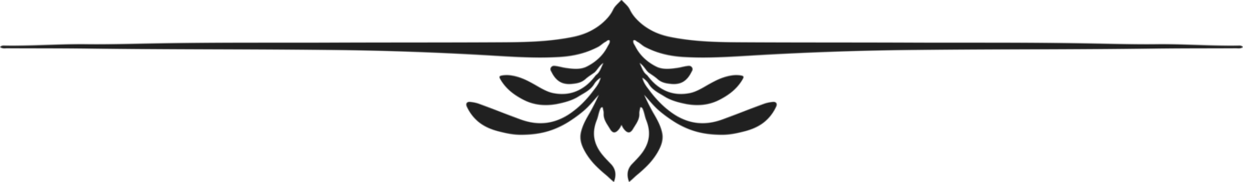 gräns ram minimal png