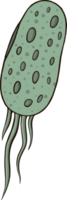 batteri virus scarabocchio png