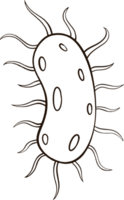 batteri virus scarabocchio png